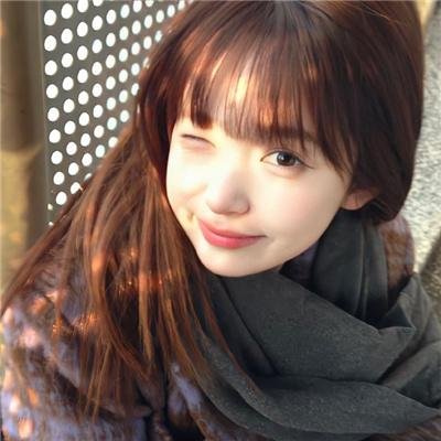 做一只鸟真不容易